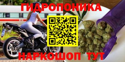 СК Обнинск