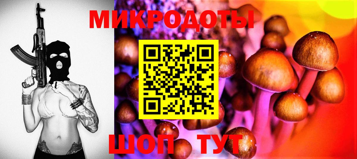 Галлюциногенные грибы Psilocybine cubensis Усолье-Сибирское