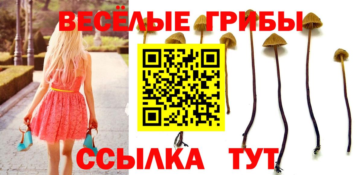 Псилоцибиновые грибы прущие грибы  Вход с VPN  Усолье-Сибирское 